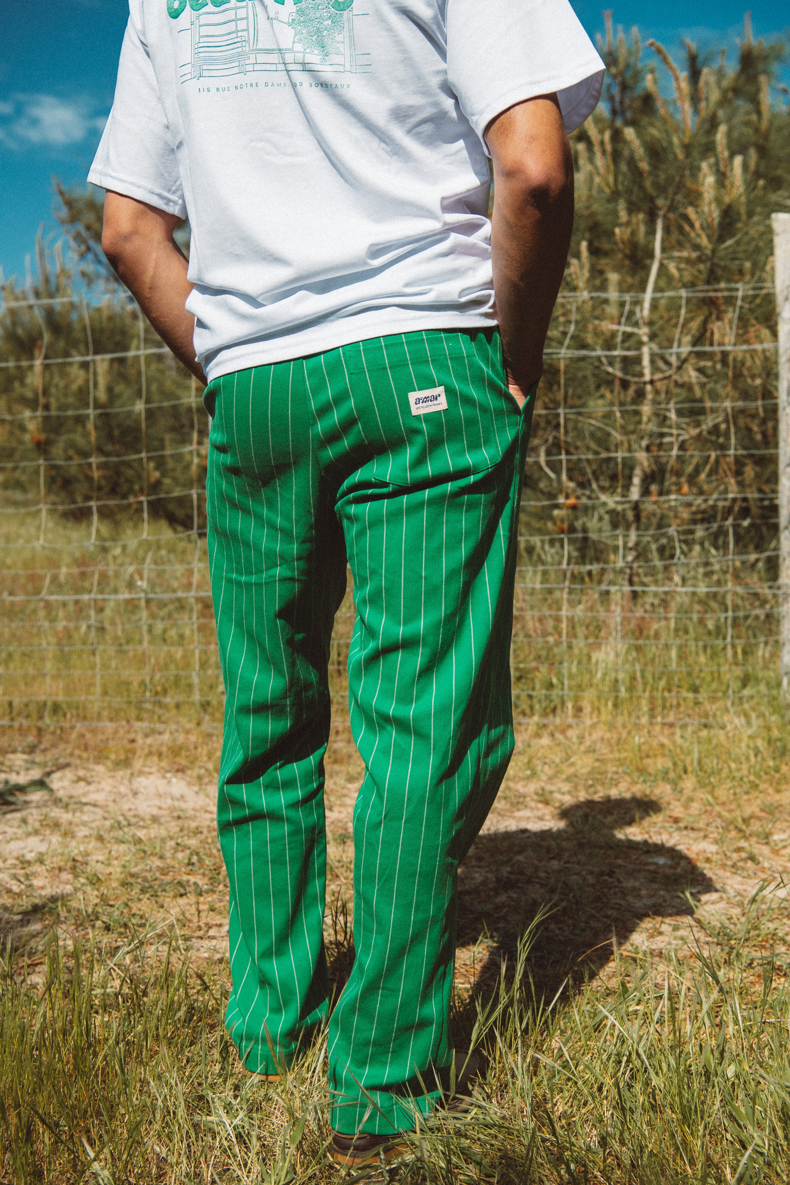 PANTALON ENZO H- Vert rayé