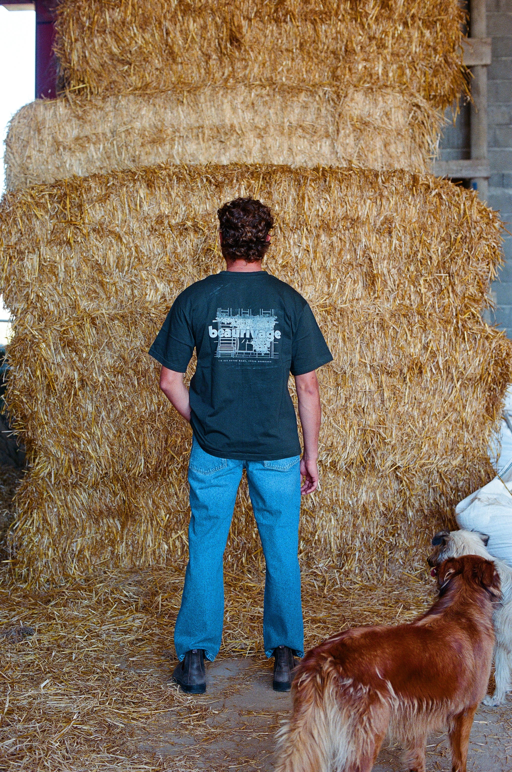 Standard 5- 70's Stone Denim