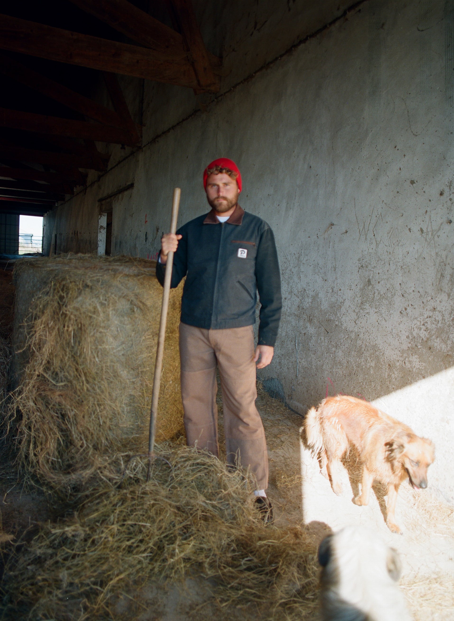 Work Pant - Duck Brown